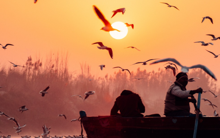 Explore the Adventure Capital of Madhya Pradesh: Pachmarhi